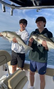 Two striped bass caught by two anglers in Bourne
