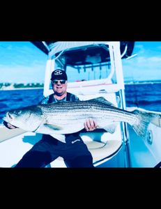 Striped bass caught in Bourne