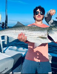 Striped bass caught by two people in Bourne