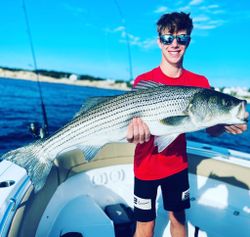 Striped bass, 38-inch fish caught in Bourne