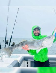 Striped bass caught in Bourne