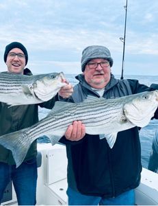 Striped bass fishing in Bourne