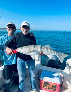 Striped bass fishing in Bourne
