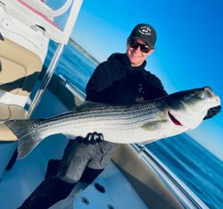 Striped bass caught in Bourne