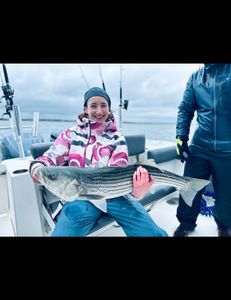 Striped bass caught in Bourne