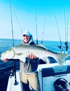 Striped bass caught in Bourne
