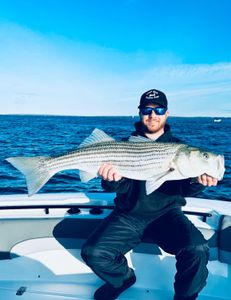 Striped bass caught in Bourne