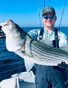 Striped bass caught in Bourne