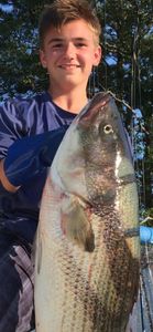 Striped bass caught while fishing in Bourne