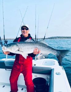 Striped Bass caught fishing in MA