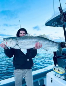 Striped bass caught in Bourne, MA