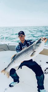 Angler holding a striped bass caught while fishing in MA