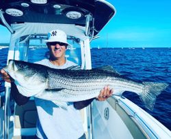 Striped bass fishing in MA