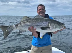 Striped bass caught fishing in MA