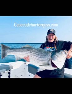 Striped bass fishing in MA