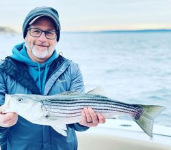 Striped bass caught fishing in MA