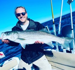 Striped bass fishing in MA
