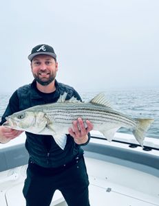 Striped bass caught fishing in MA