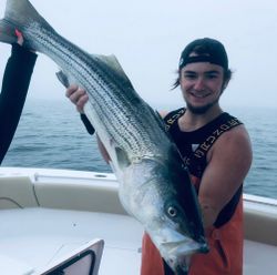 Striped bass caught while fishing in MA