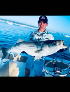 Striped bass caught fishing in MA
