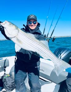 Striped bass caught in MA