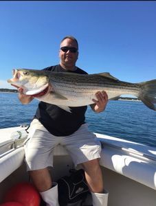 Striped bass caught while fishing in MA
