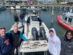 Sheepsheads are biting this season in Myrtle Beach