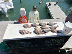 Experienced Angler with his kept Sheepshead catch