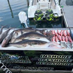Caught 3 Cobia in SC
