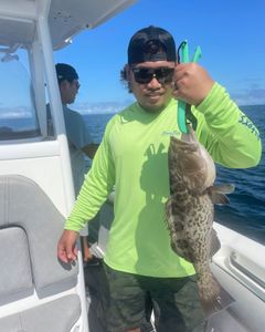 A lone angler enjoying a fishing adventure