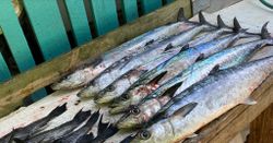 One fishing trip in SC