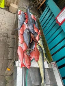 Four fish caught in SC during fishing trip