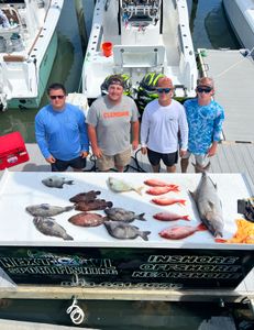 Greater Amberjack, a 22-inch fish, caught while fishing