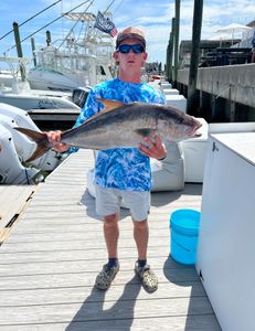 One huge greater amberjack fish caught while fishing