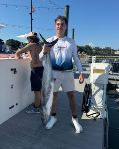 King Mackerel, 31-inch fish caught while fishing