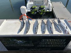 5 king mackerel fish caught while fishing
