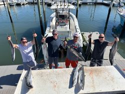5 King Mackerel fish caught while fishing