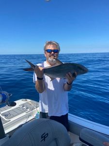 A photograph of a 14-inch Longfin Yellowtail fish caught while fishing in SC.