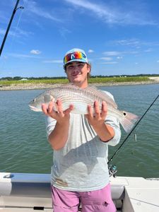 Redfish, 22 inch trophy fish caught while fishing