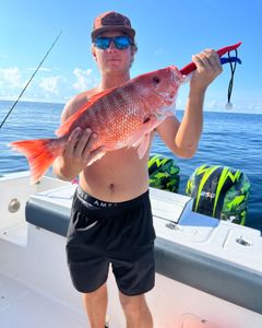 A single person fishing in an unknown location