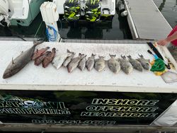 Fishing in unknown location, 3 fish caught