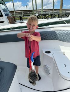 Summer Flounder caught while fishing in Murrells Inlet