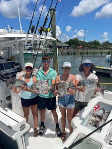 Three big fish caught during a great fishing trip