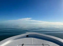 Fishing cruises and tours in FL