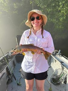 Rainbow Trout on the White River