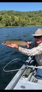 Arkansas trout, picture perfect