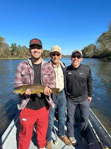 Another great trout landed