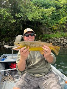 Brown Trout caught near Batesville
