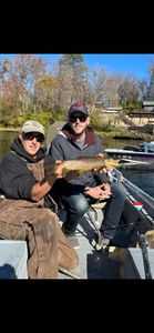 Trout in hand, White River