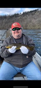 Drifted into a great catch